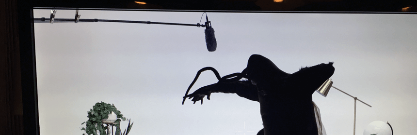 vid-shoot-1