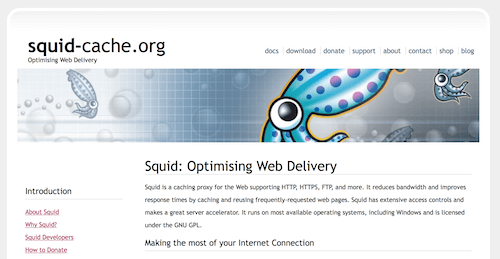 Internet Access Monitor For Squid 3 9 Executed