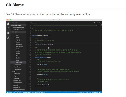 visual studio code git blame