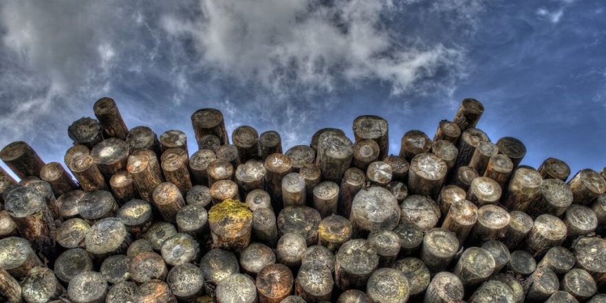 The Best Tools for Log Management