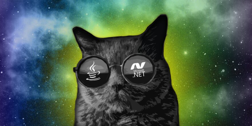 The Java vs .NET Comparison (Explained with Cats)