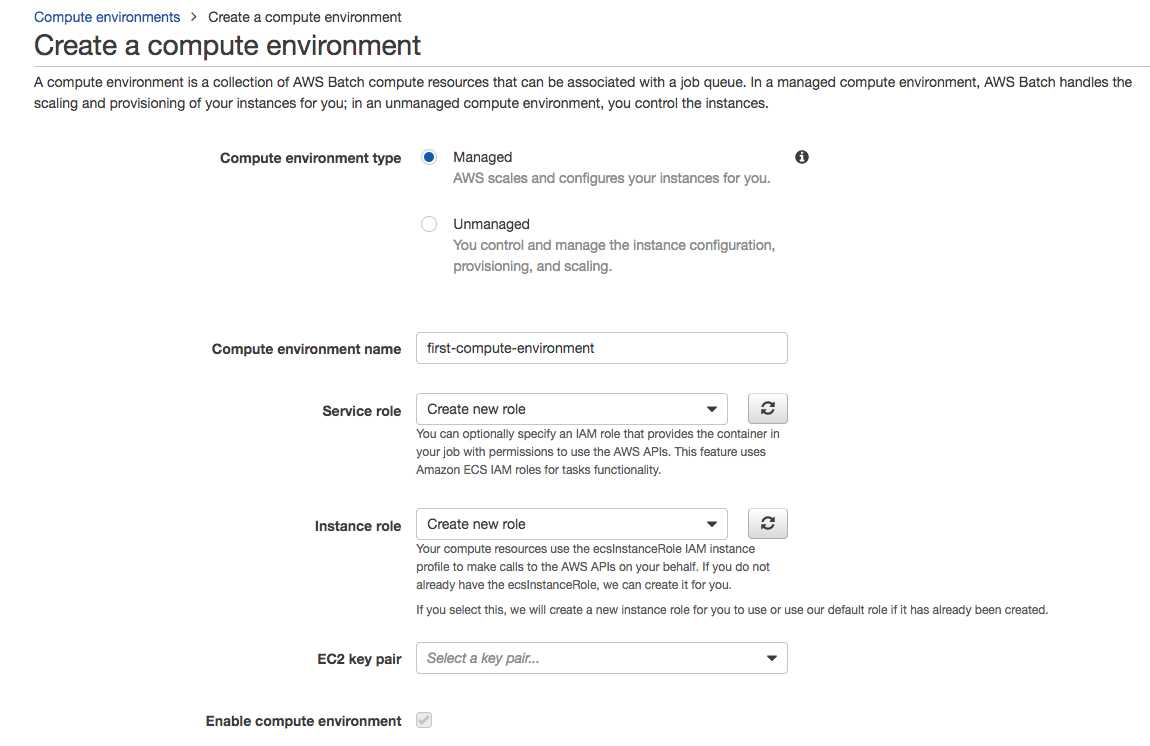 AWS Batch guide create environment