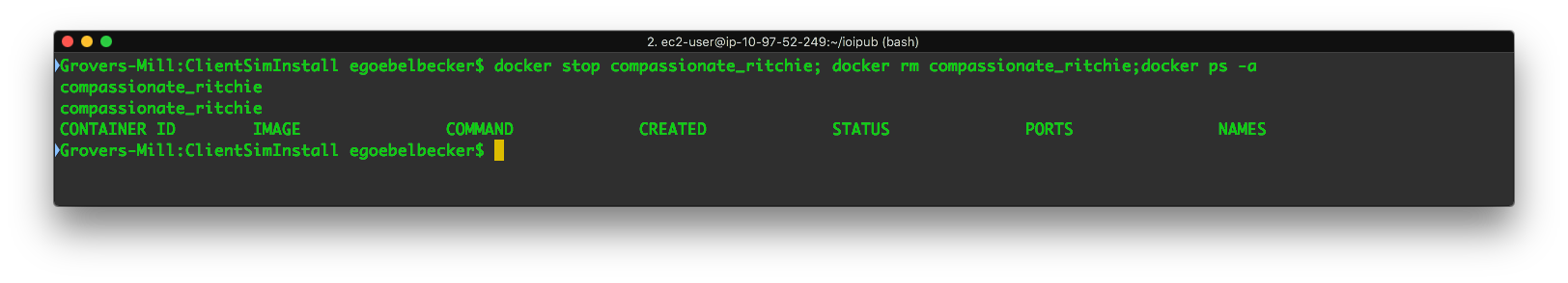 stop and remove docker container