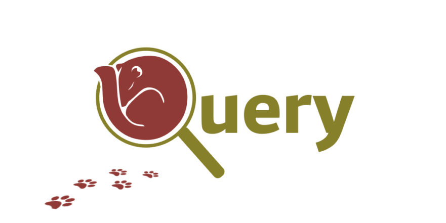 Free NHibernate Profiler to View SQL Query Performance