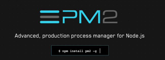 PM2 developer tool