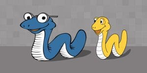 Python Profilers: Learn the Basics of a profiler for Python in this blog