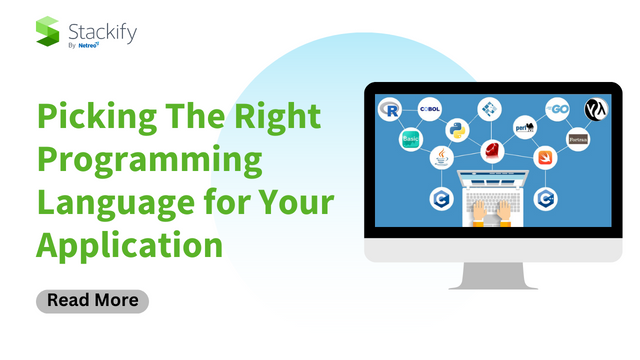 Picking The Right Programming Language for Your Application