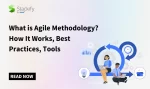 What is Agile Methodology