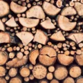 An image of rows of logs signifying syslogs