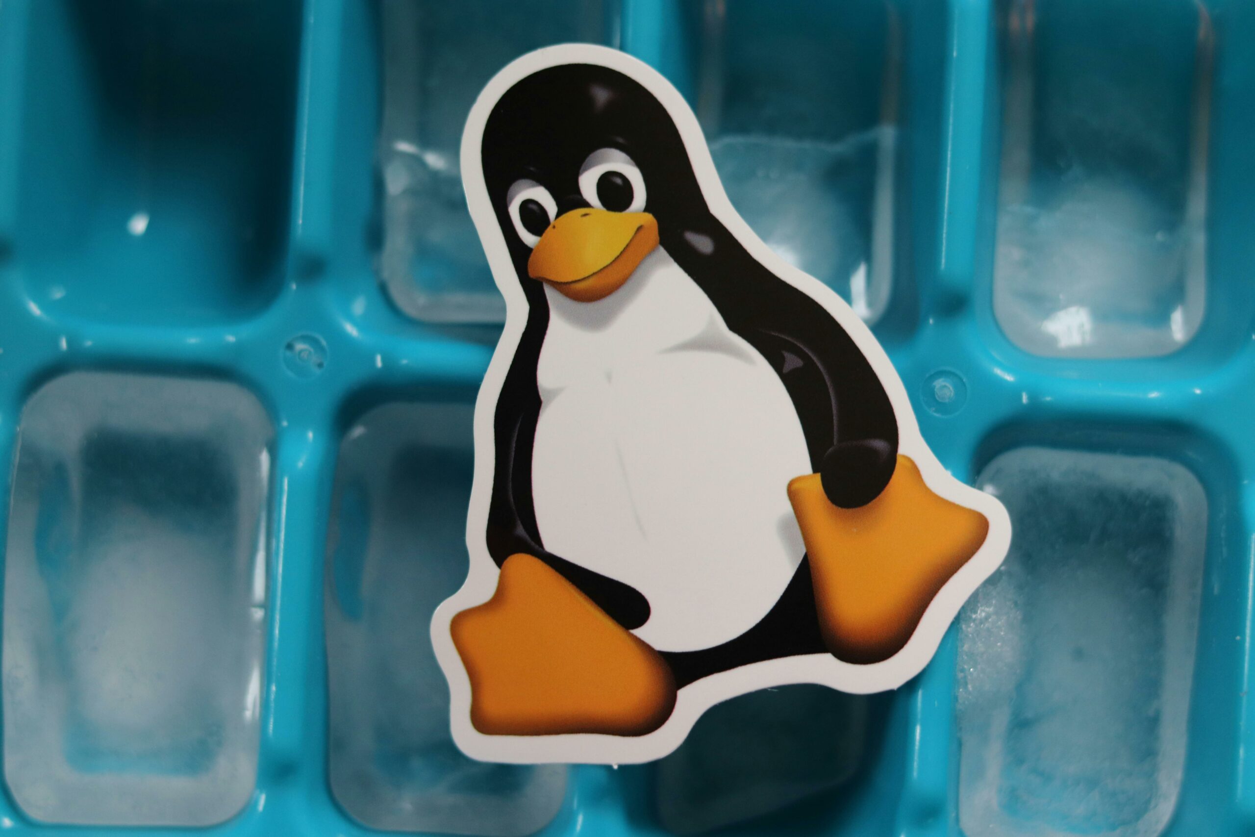 Top Linux Commands: 11 You Need to Know